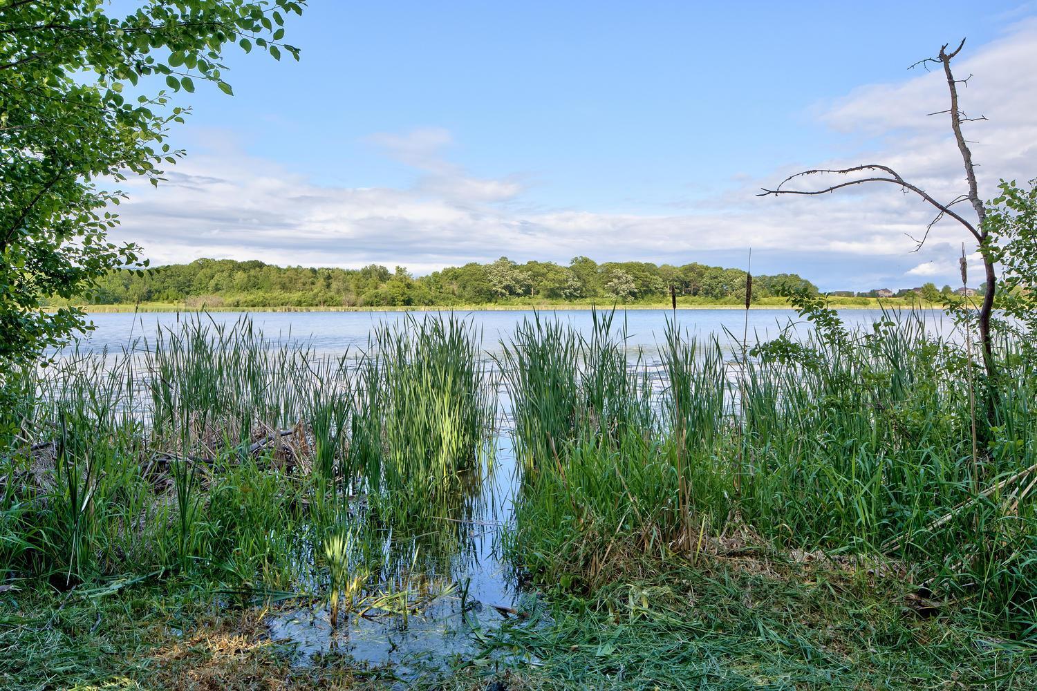 7261 Tamarack Trail