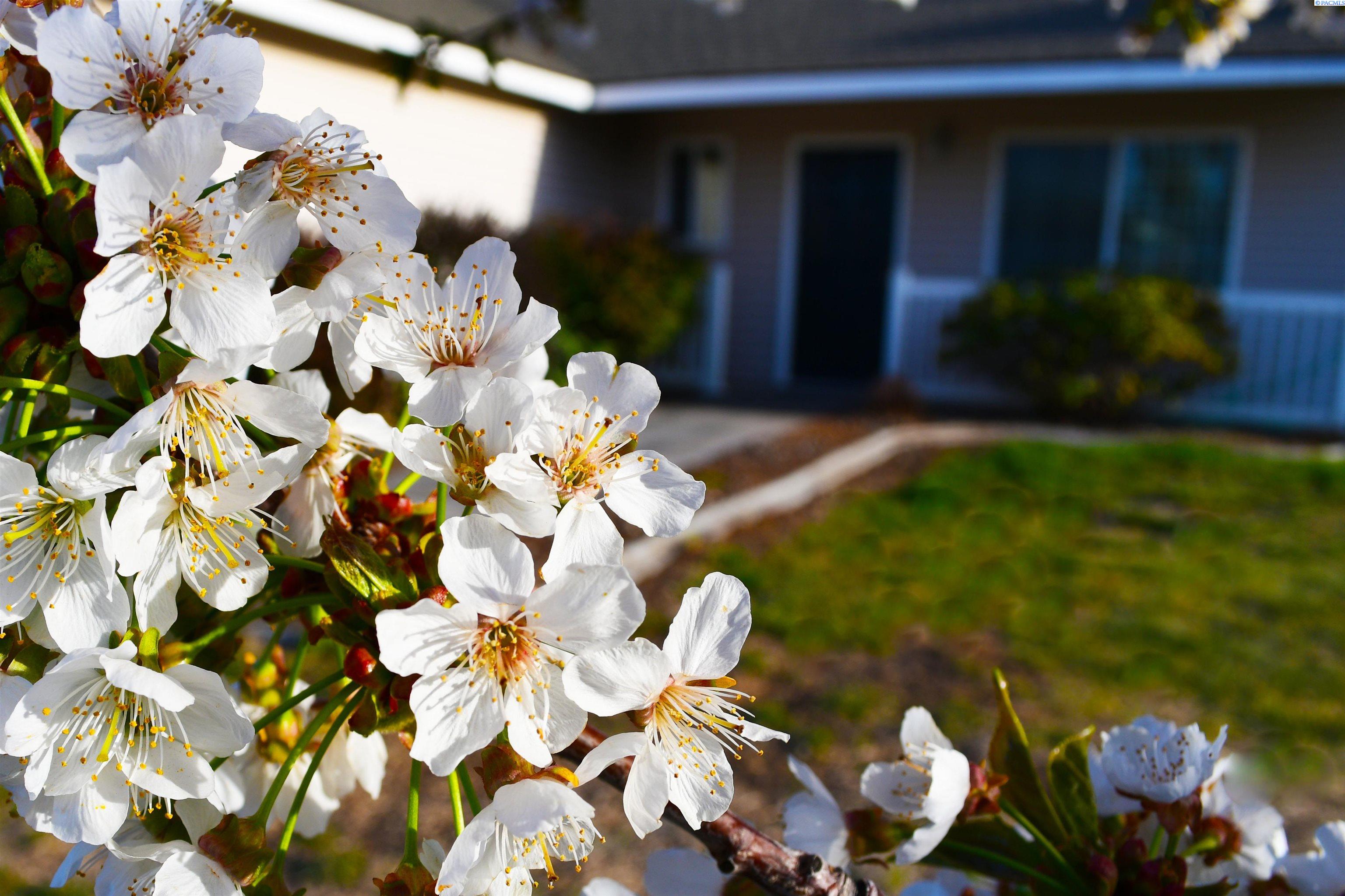 7820 White Bluffs Ct.