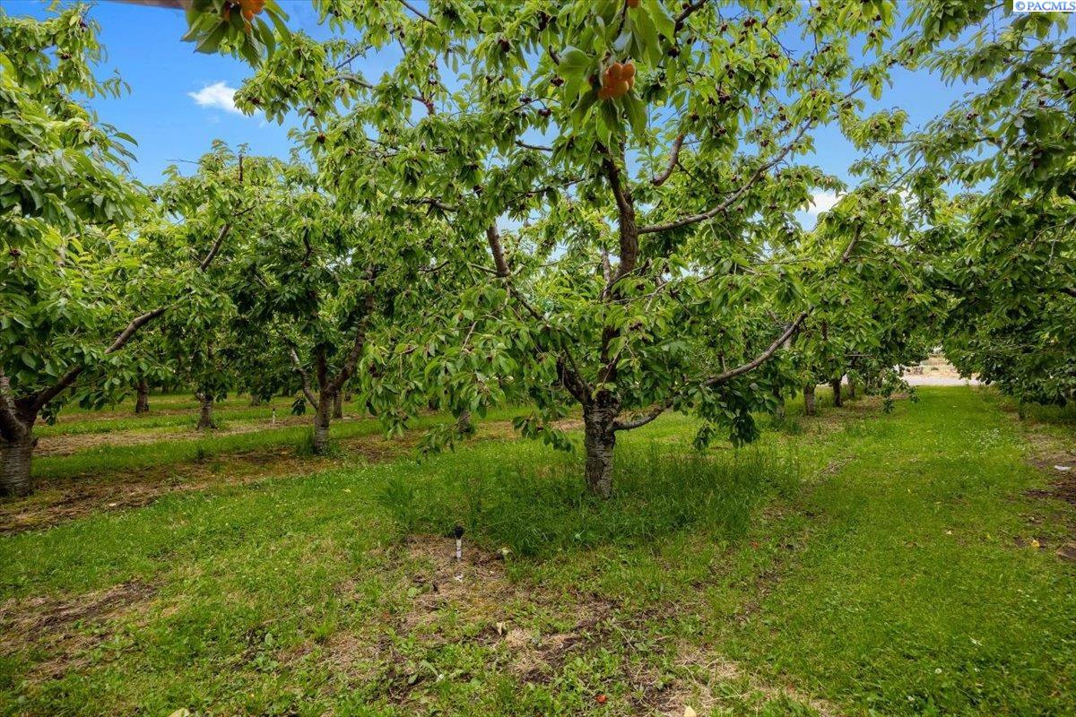 164901 W Old Inland HWY