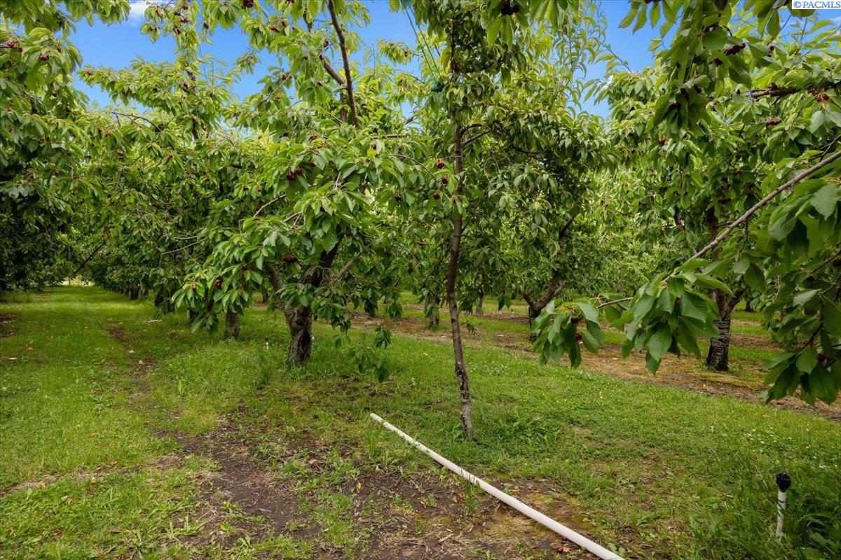 164901 W Old Inland HWY