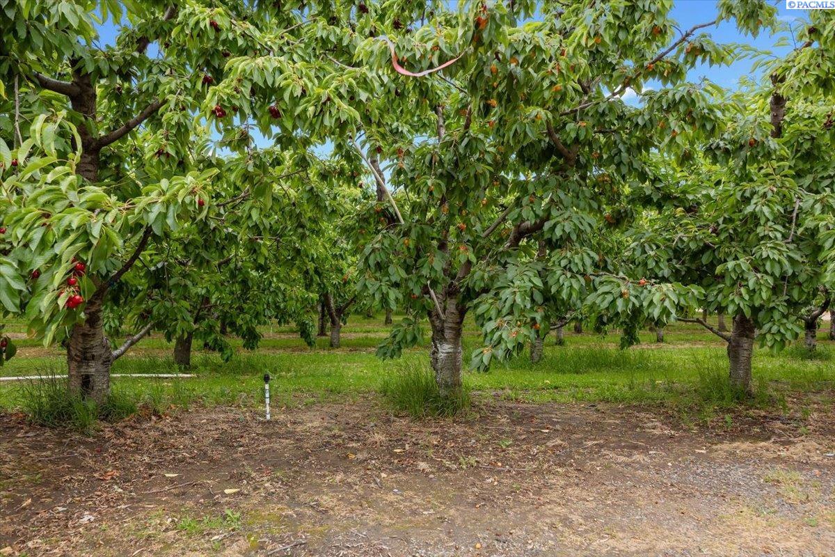 164901 W Old Inland HWY