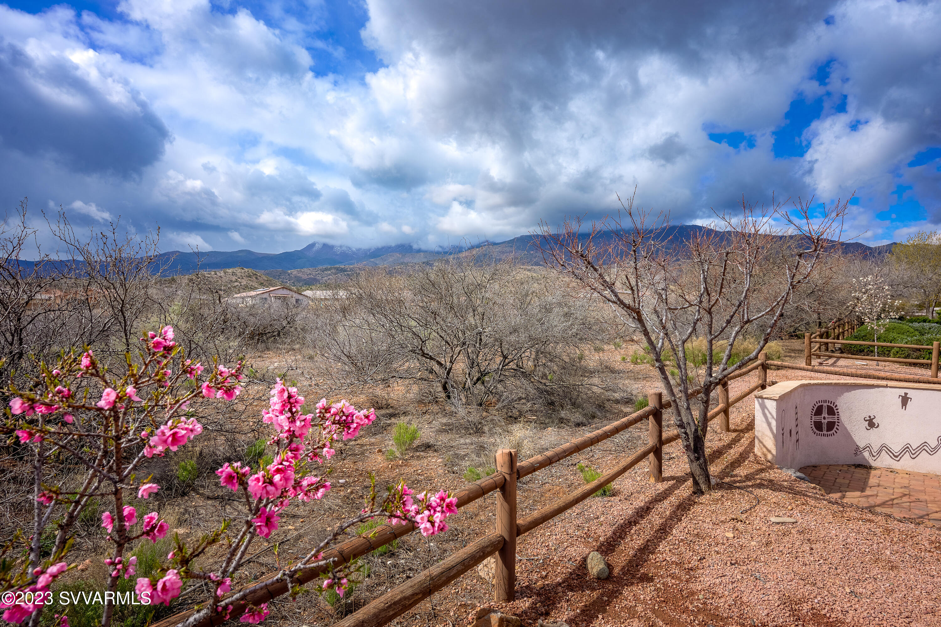 1925 W Desert Willow Drive