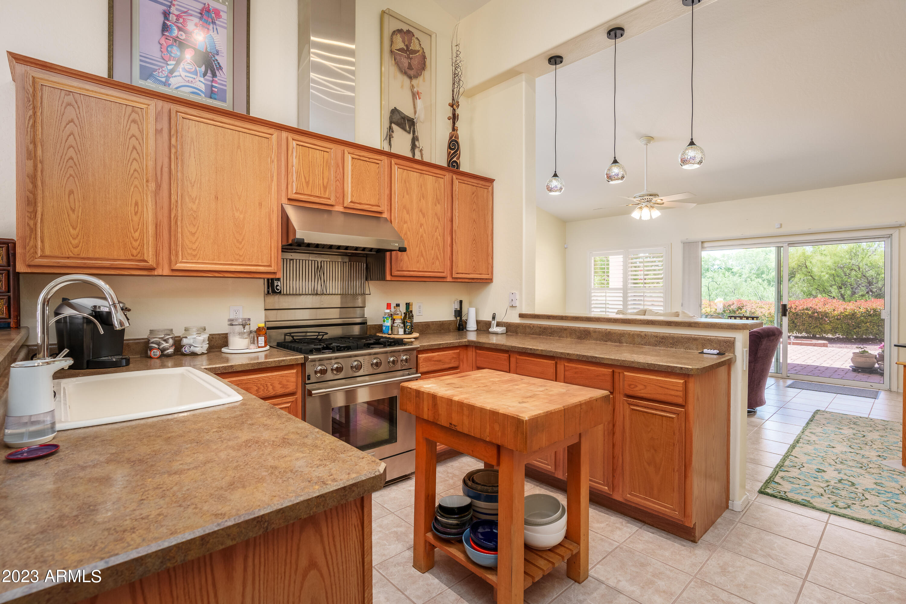 1895 W DESERT WILLOW Drive