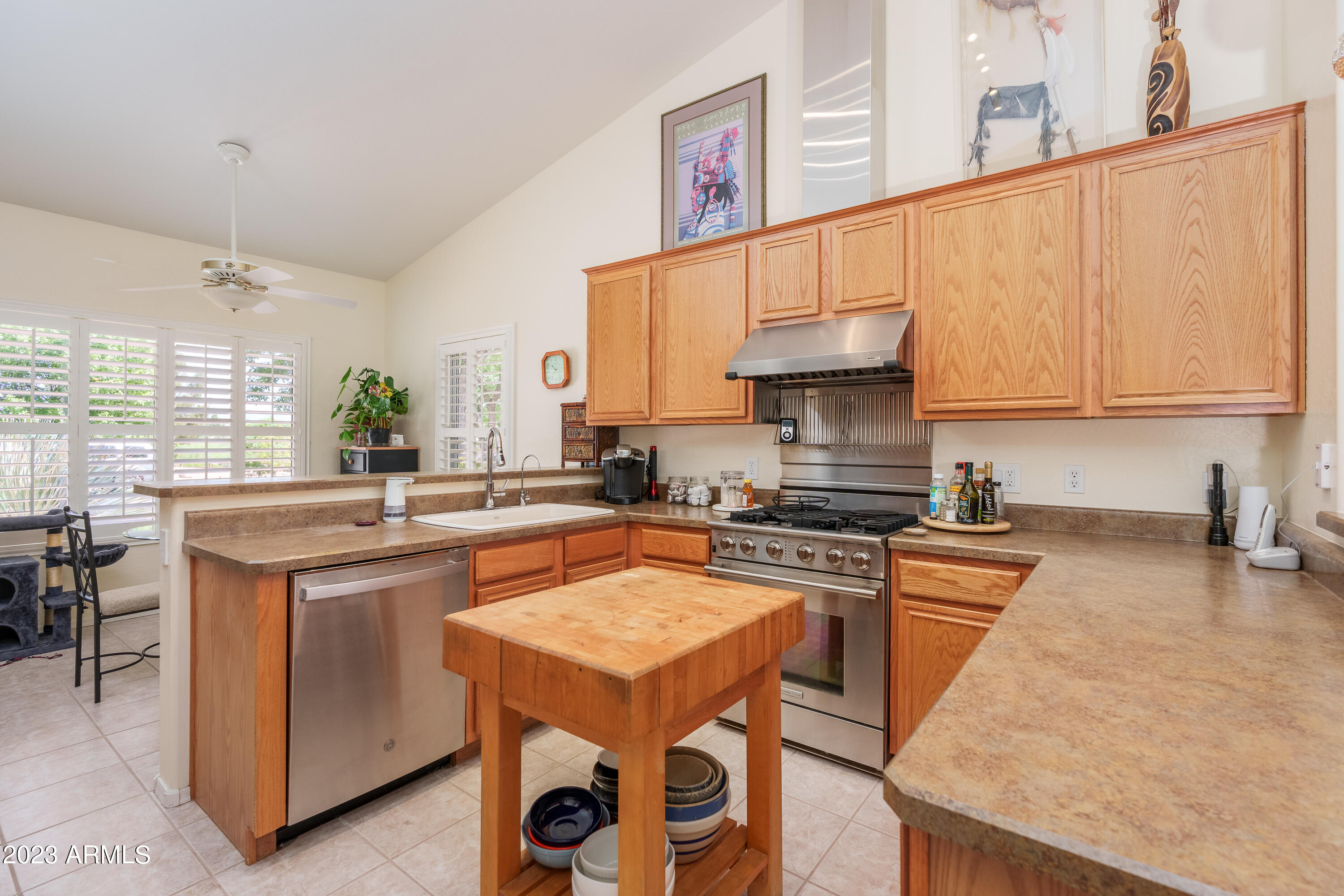 1895 W DESERT WILLOW Drive