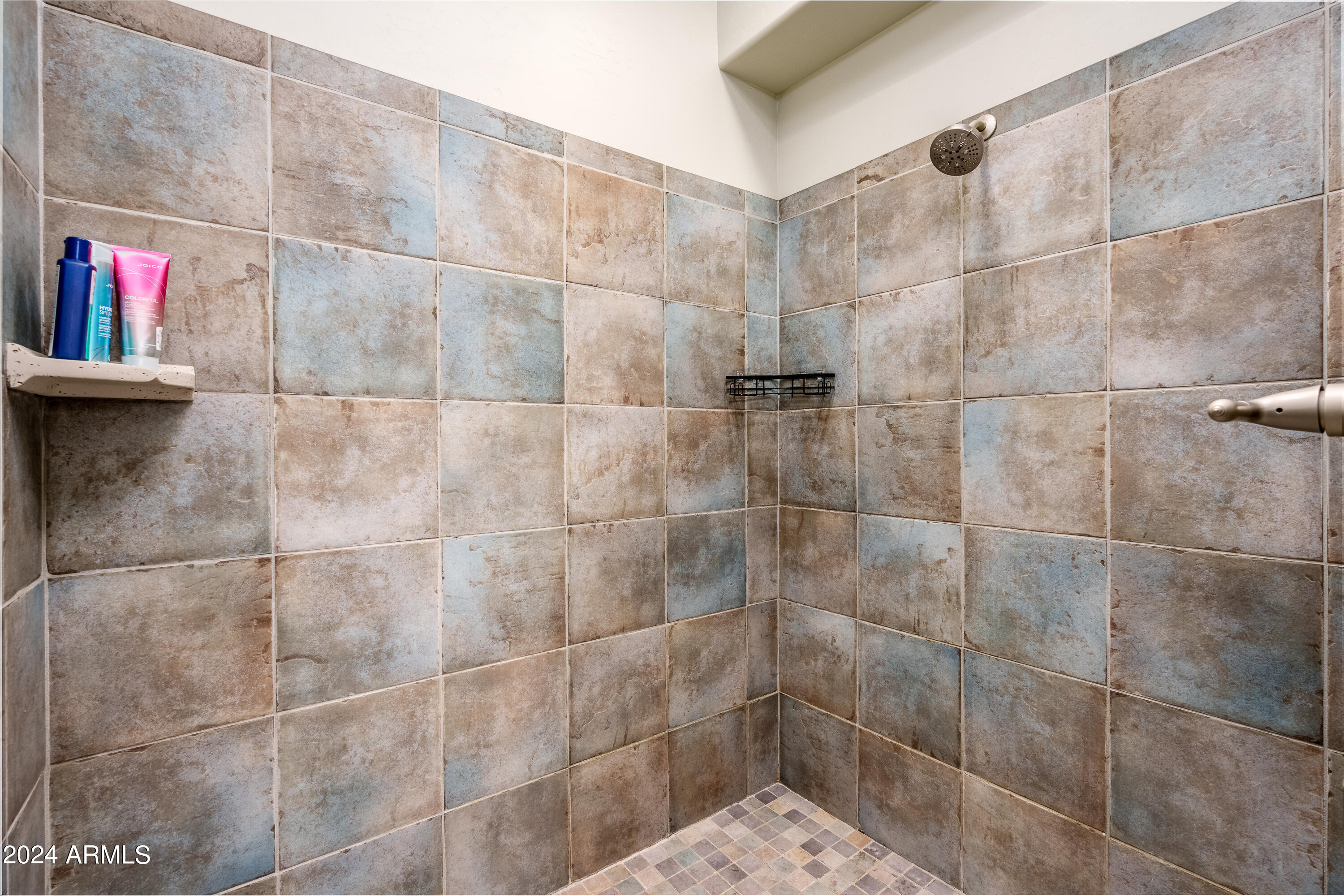 1749 SILVER SPUR Circle