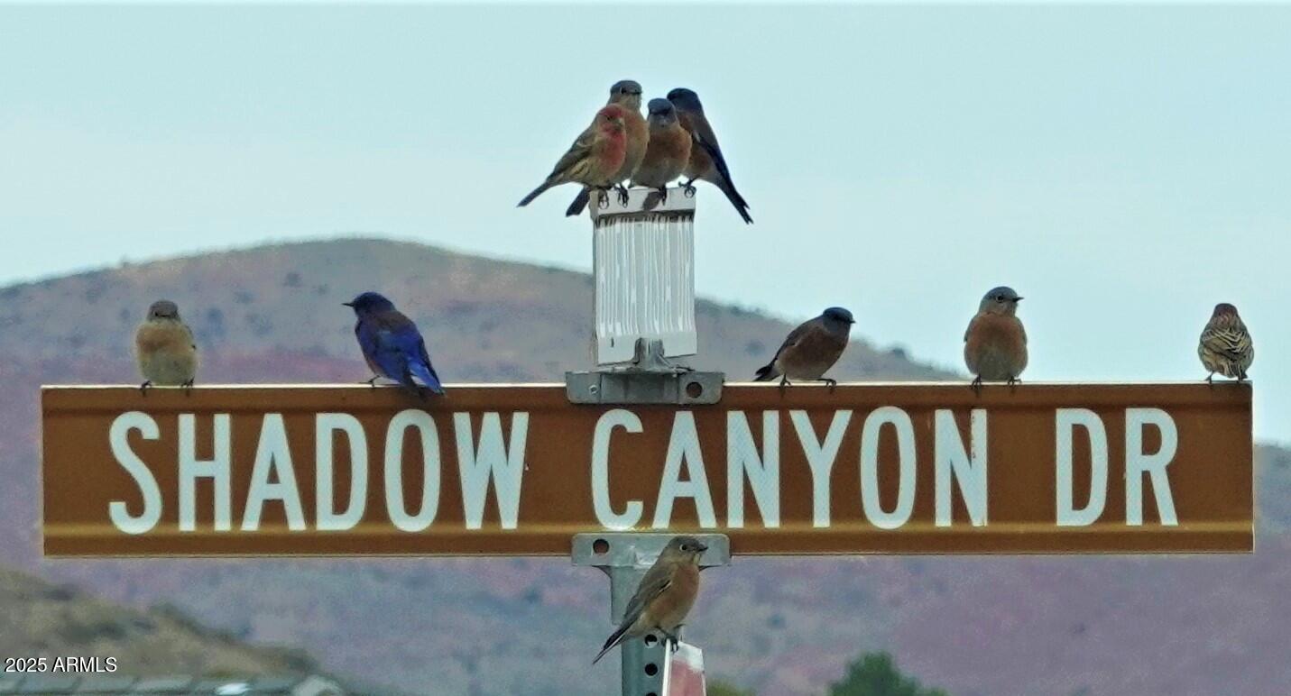 661 SHADOW CANYON Drive