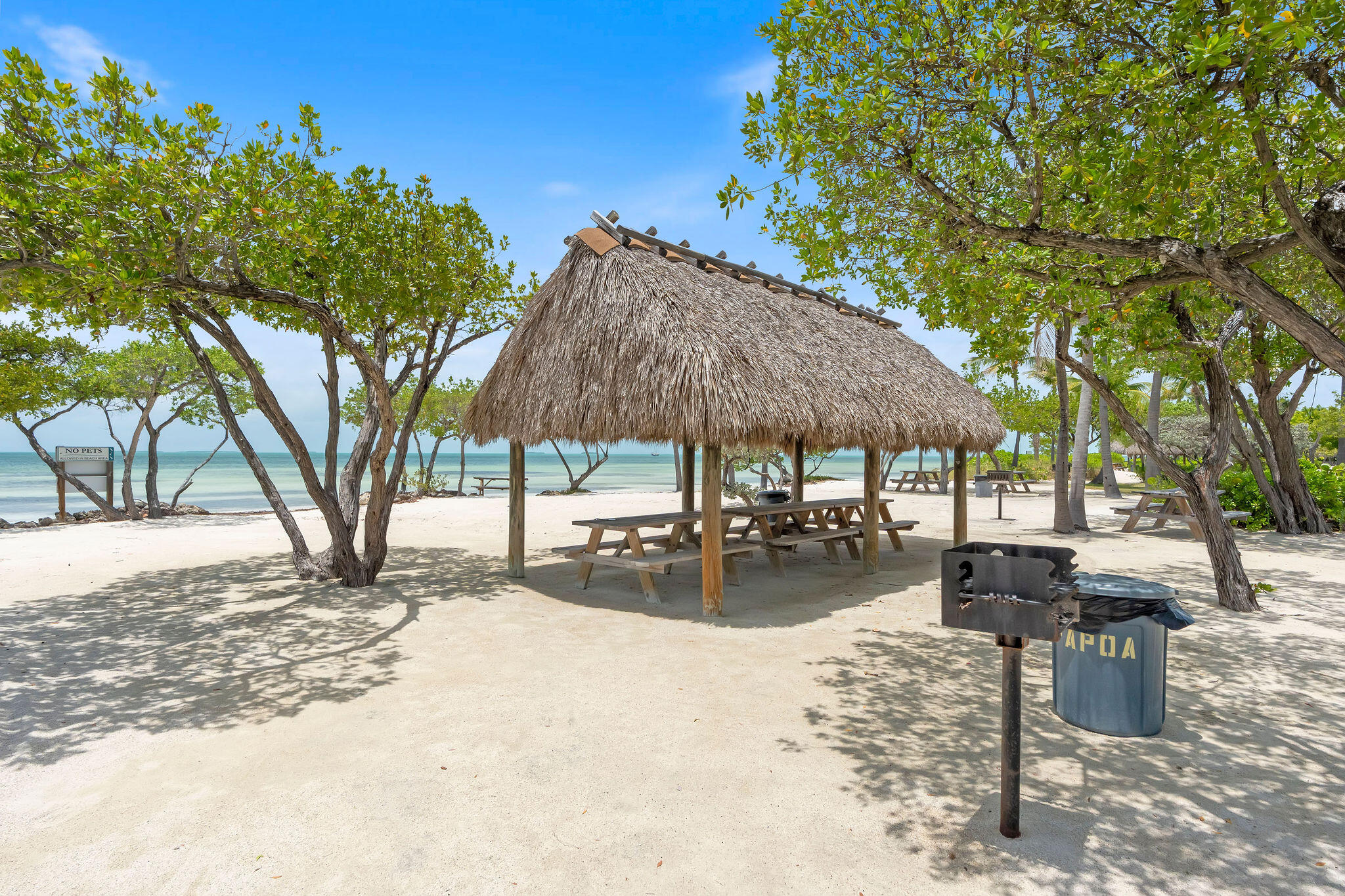 44 W Plaza Del Lago