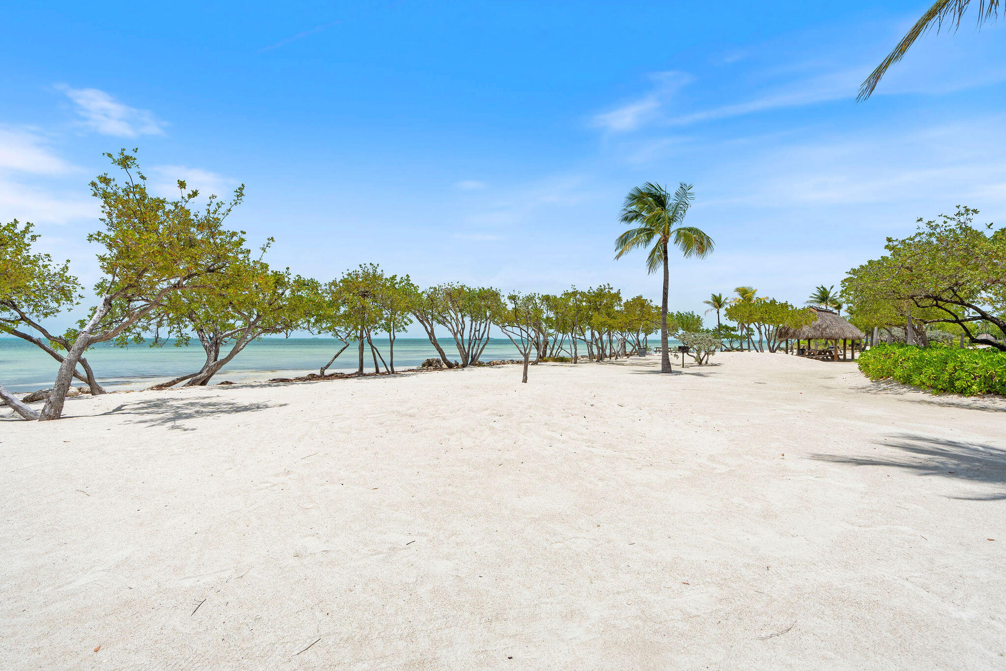 44 W Plaza Del Lago
