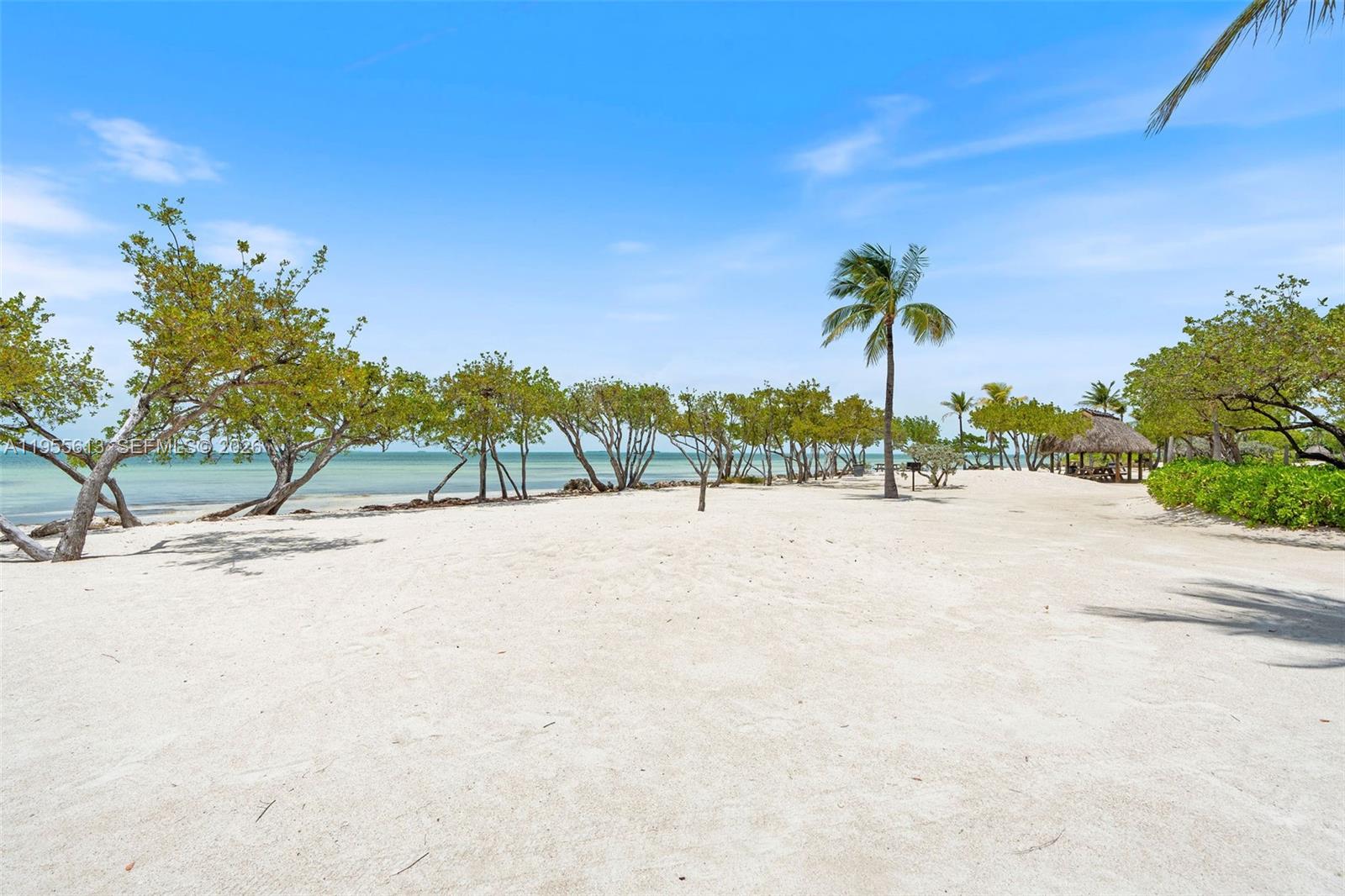 44 W Plaza Del Lago