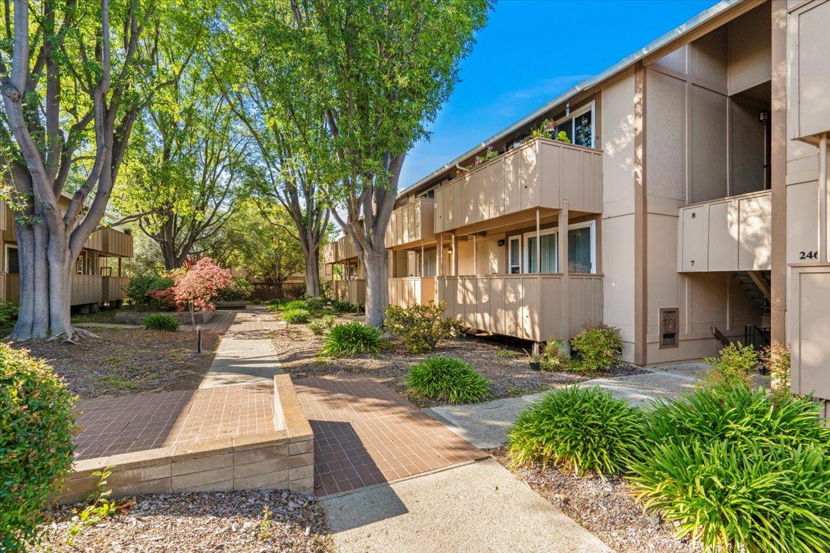 2466 West Bayshore Road 5