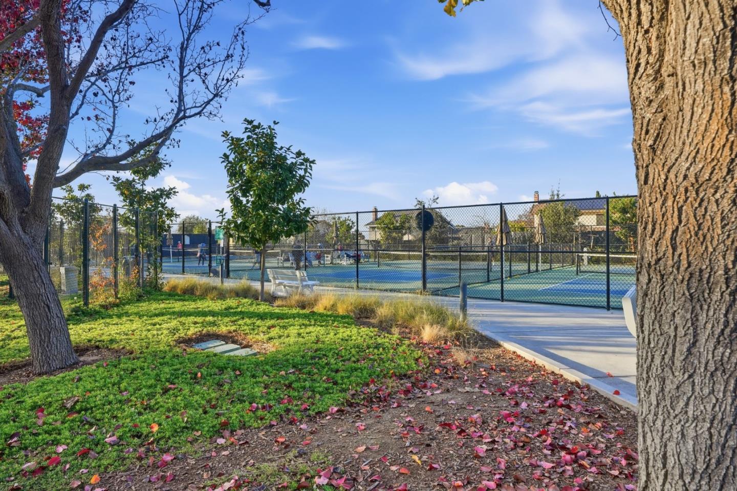 6041 Montgomery Bend