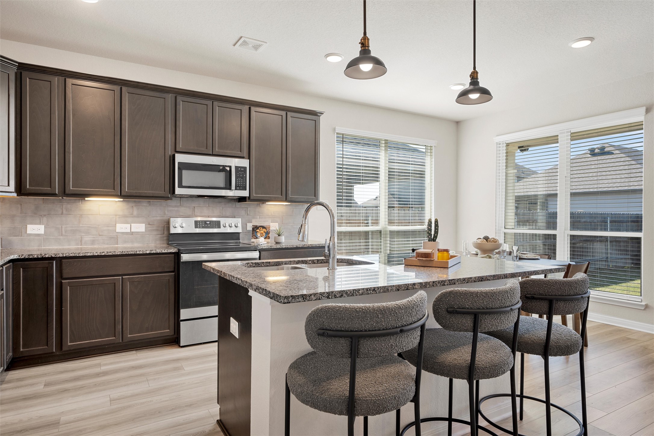 11225 Pallasite Court