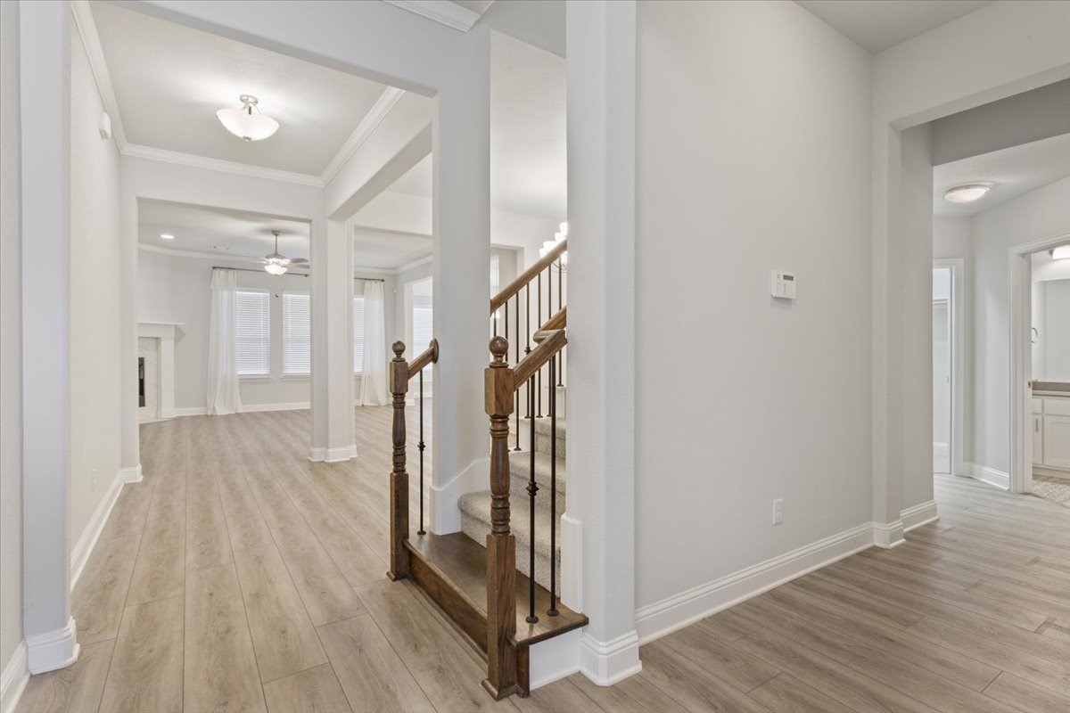 2321 Paddington Way