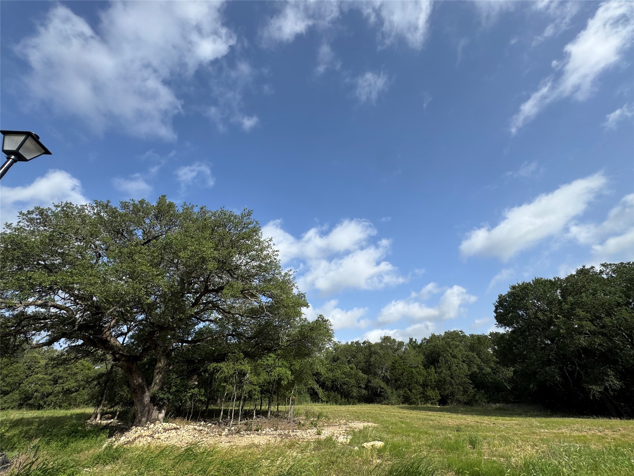 318 Whitetail Drive