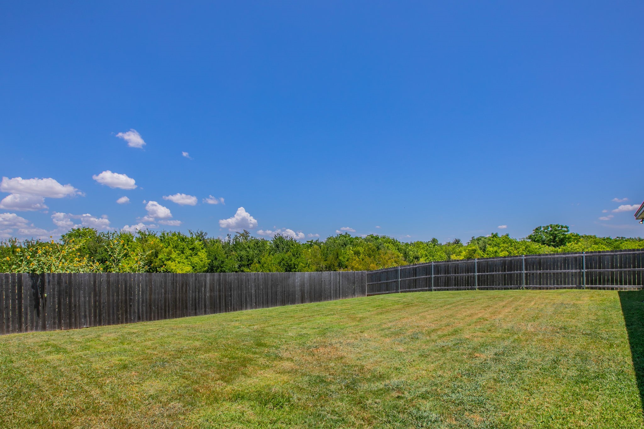 5305 Black Horse Court