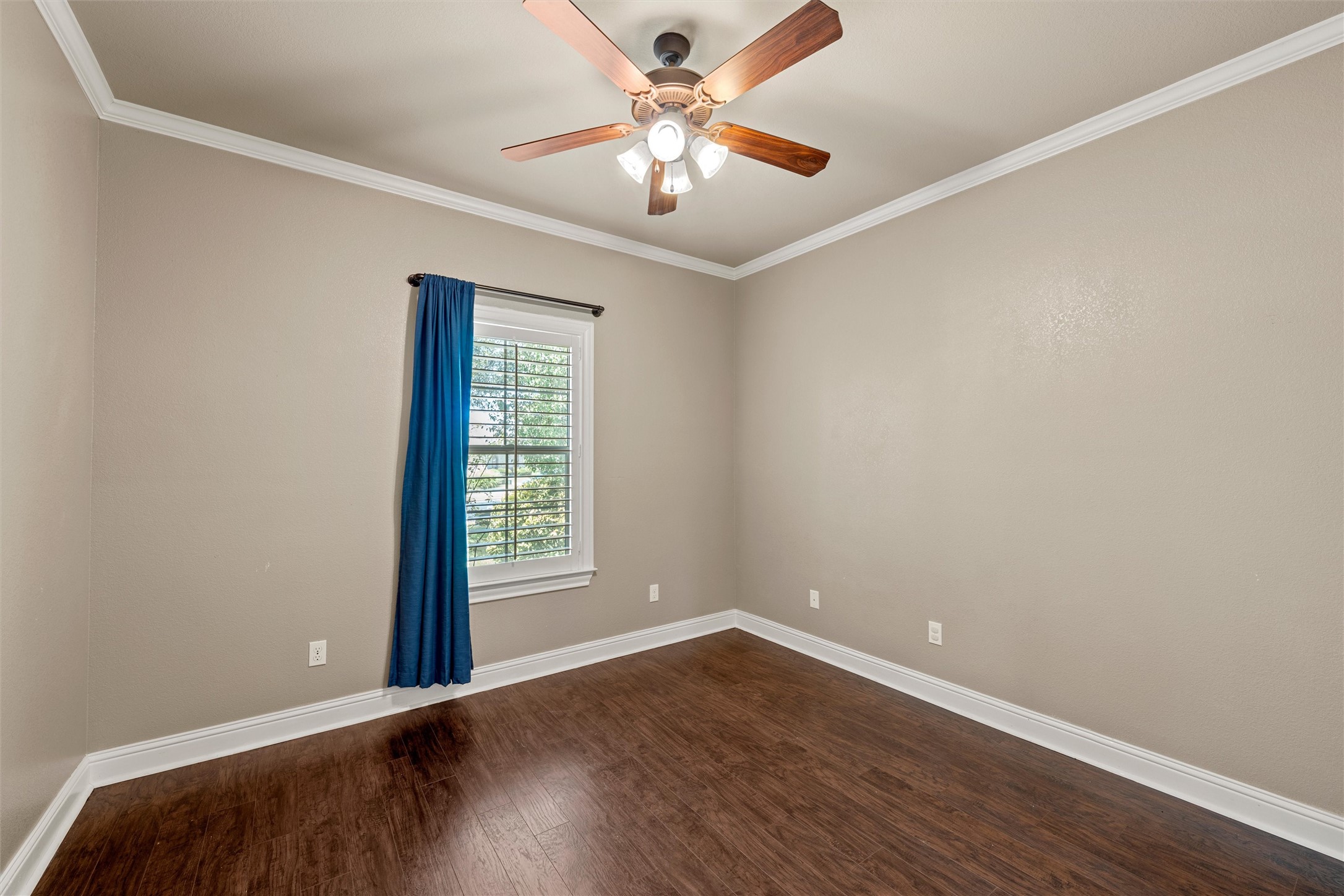 337 Edinburgh Lane