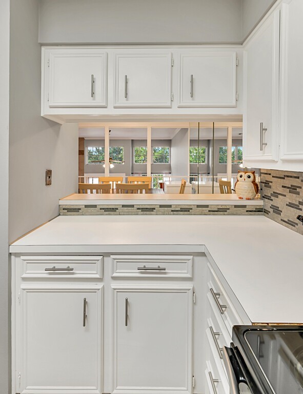 2903 Lake Shore Drive 301