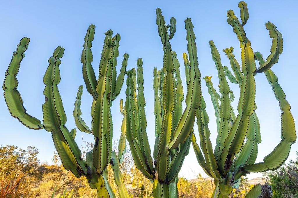 2202 Mountain Vista Dr