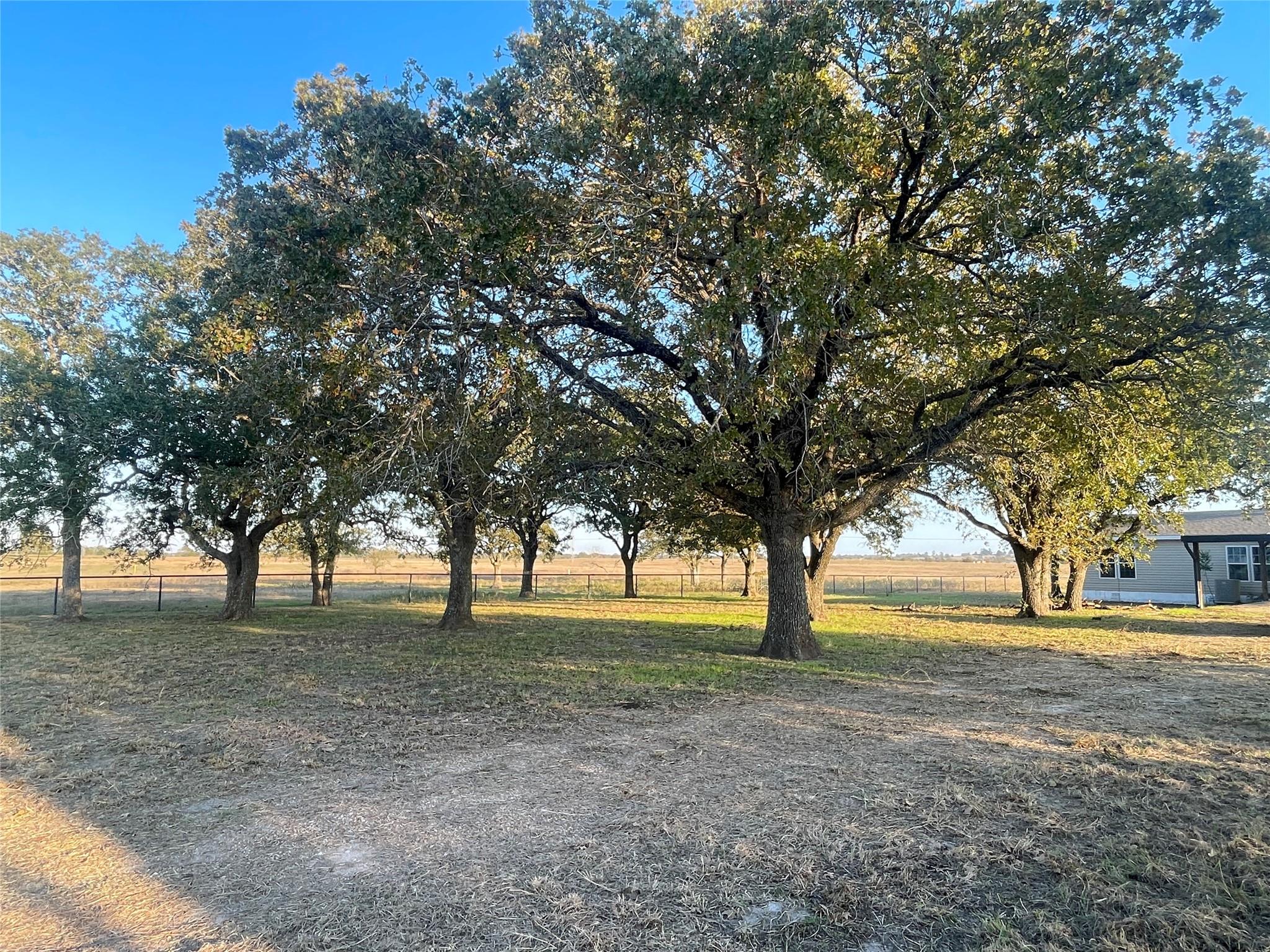 TBD County Road 228 Tract 1