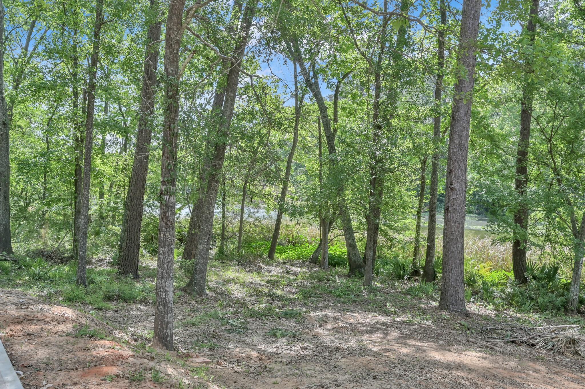 13501 Fultz Road