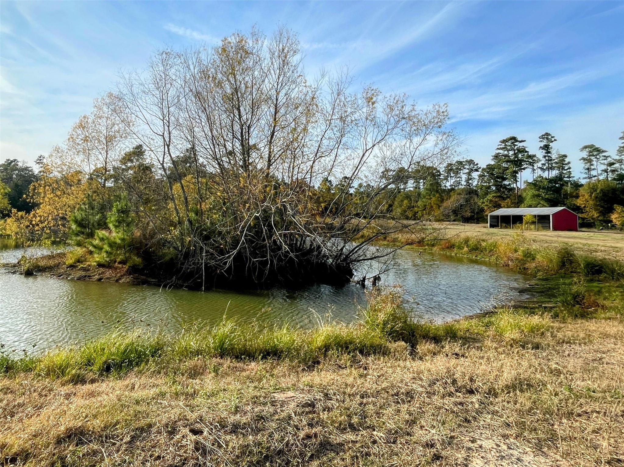 9381 Fm 1486 Road