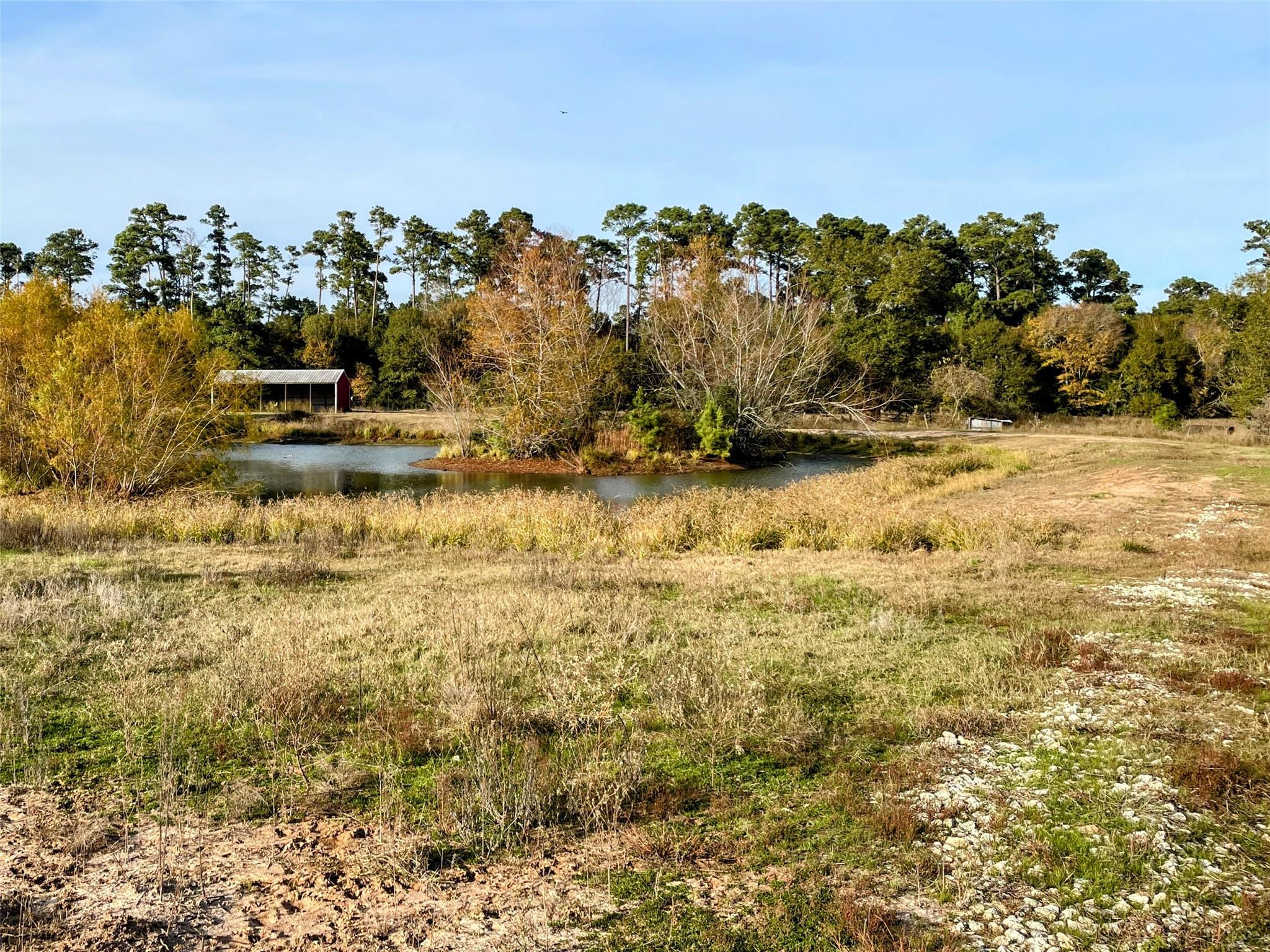 9381 Fm 1486 Road