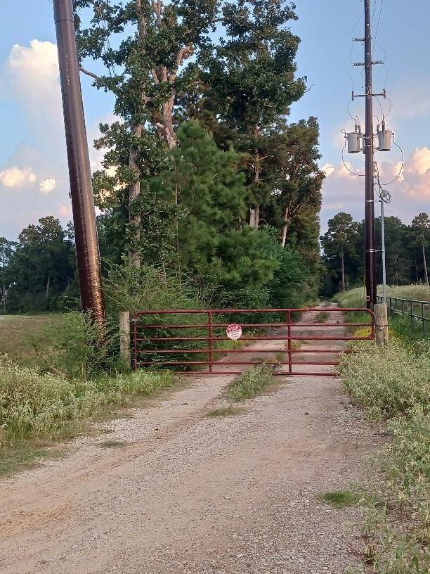 24140 Grand Pines Rd Road