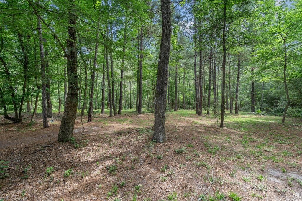 373 Winchester Road