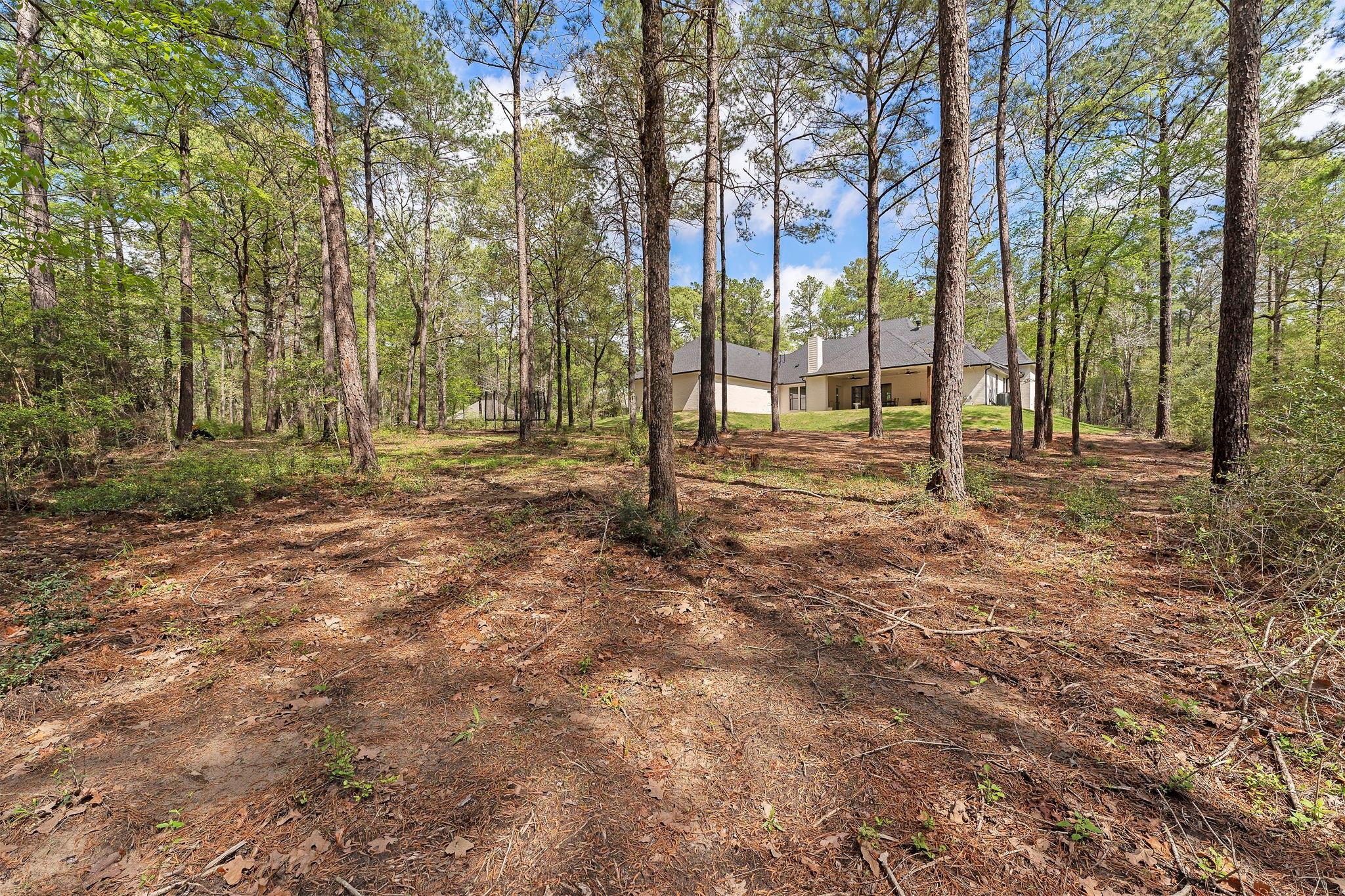 567 Lonestar Road