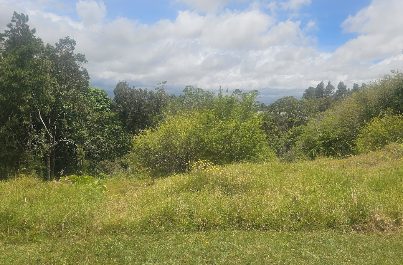 64-635 KOLOHALA PL