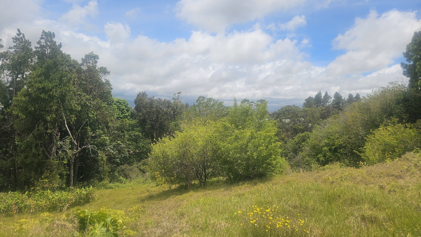 64-635 KOLOHALA PL