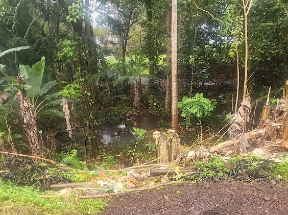 32-1048 OLD MAMALAHOA HIGHWAY