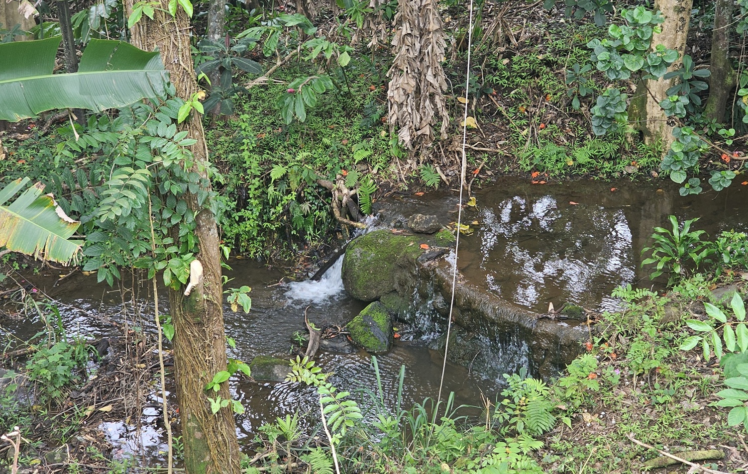 32-1048 OLD MAMALAHOA HIGHWAY