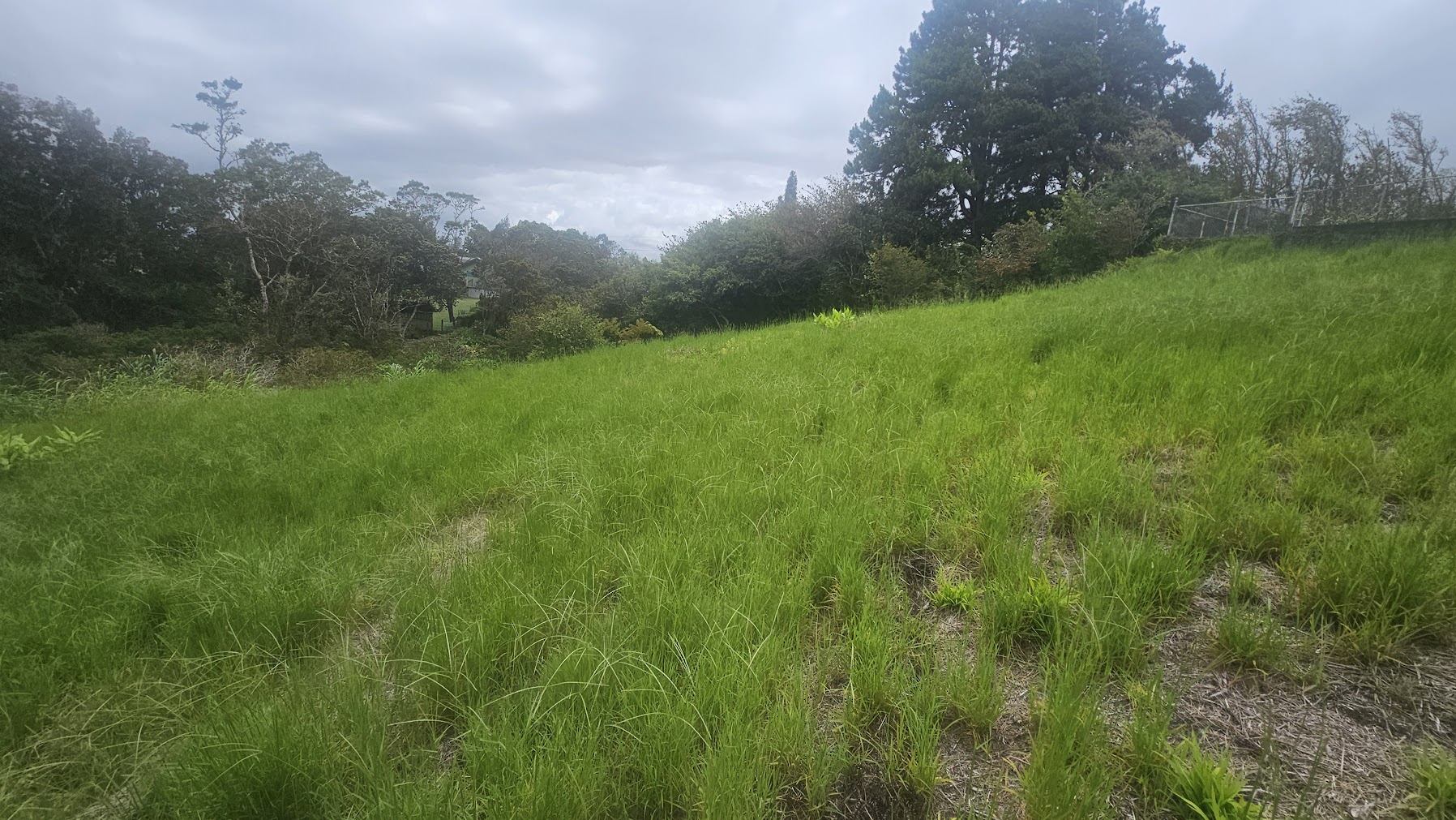 64-635 KOLOHALA PL