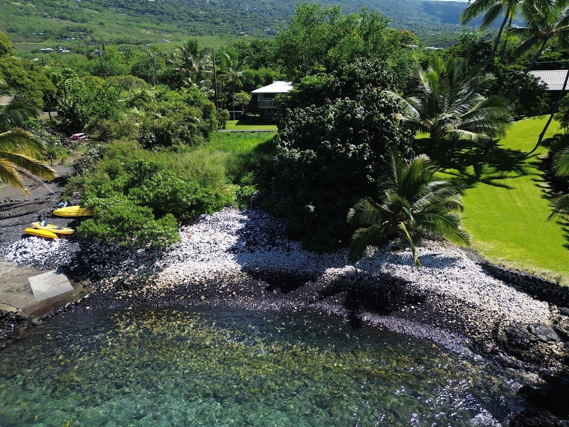Aerial view of a tropical waterfront property with clear water, kayaks, palms, and a pebble beach.