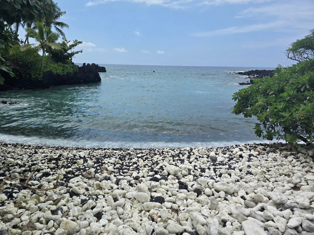 Pebble beach and clear-water cove framed by lava rocks and tropical palms.
