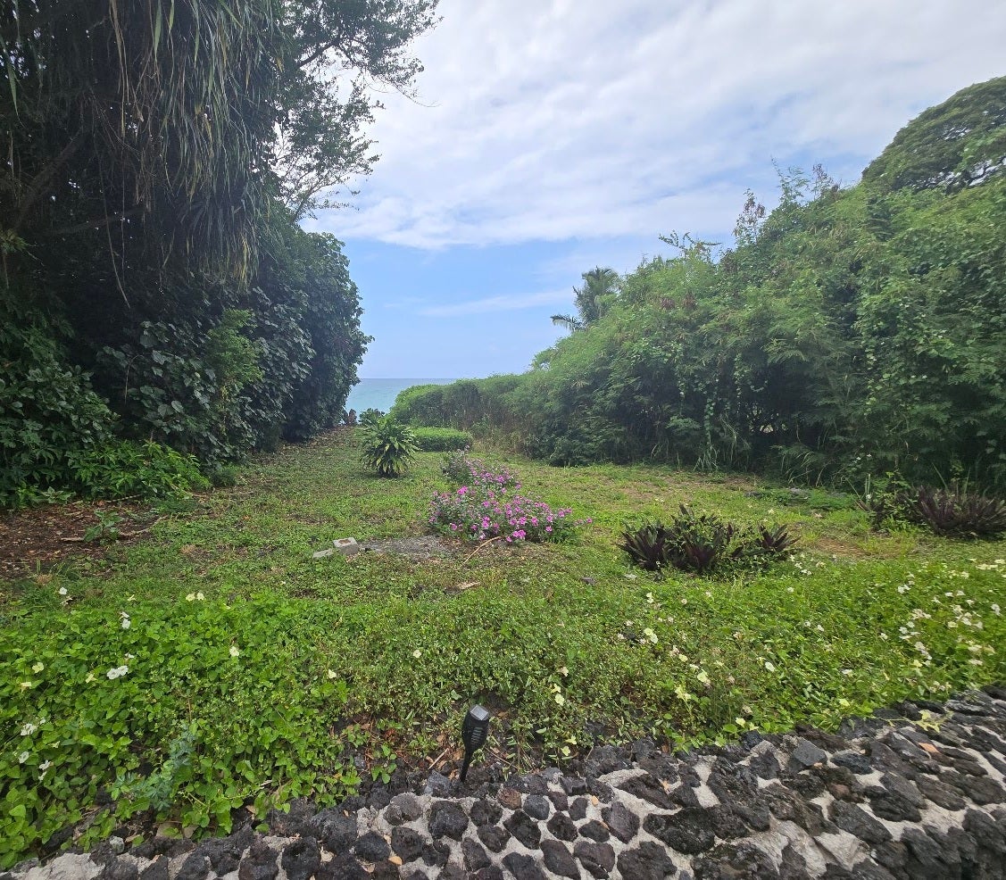 Tropical landscaped lot opens toward the ocean, bordered by dense greenery and a low lava-rock wall.