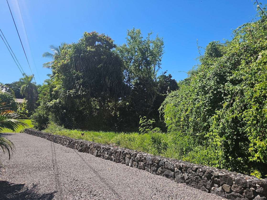 Gravel driveway curves alongside a low stone wall and dense tropical vegetation.