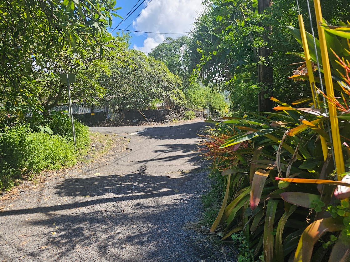 Paved road curves past a low stone wall through dense tropical greenery.