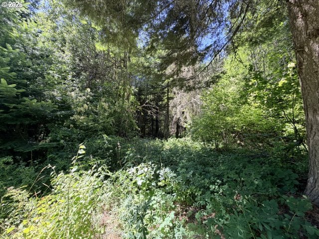 SNOWDEN RD