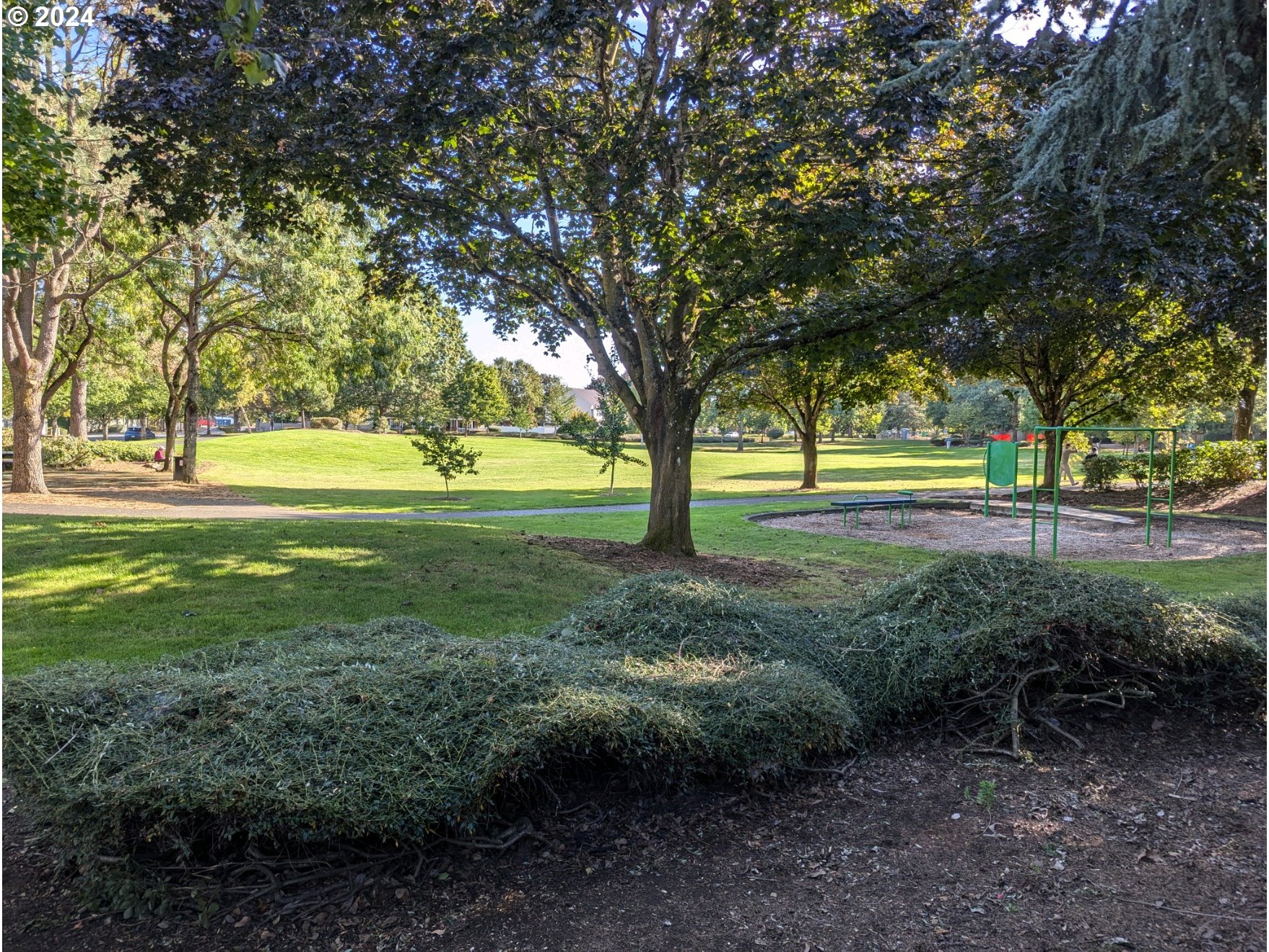 1617 SE SOLOMON LOOP