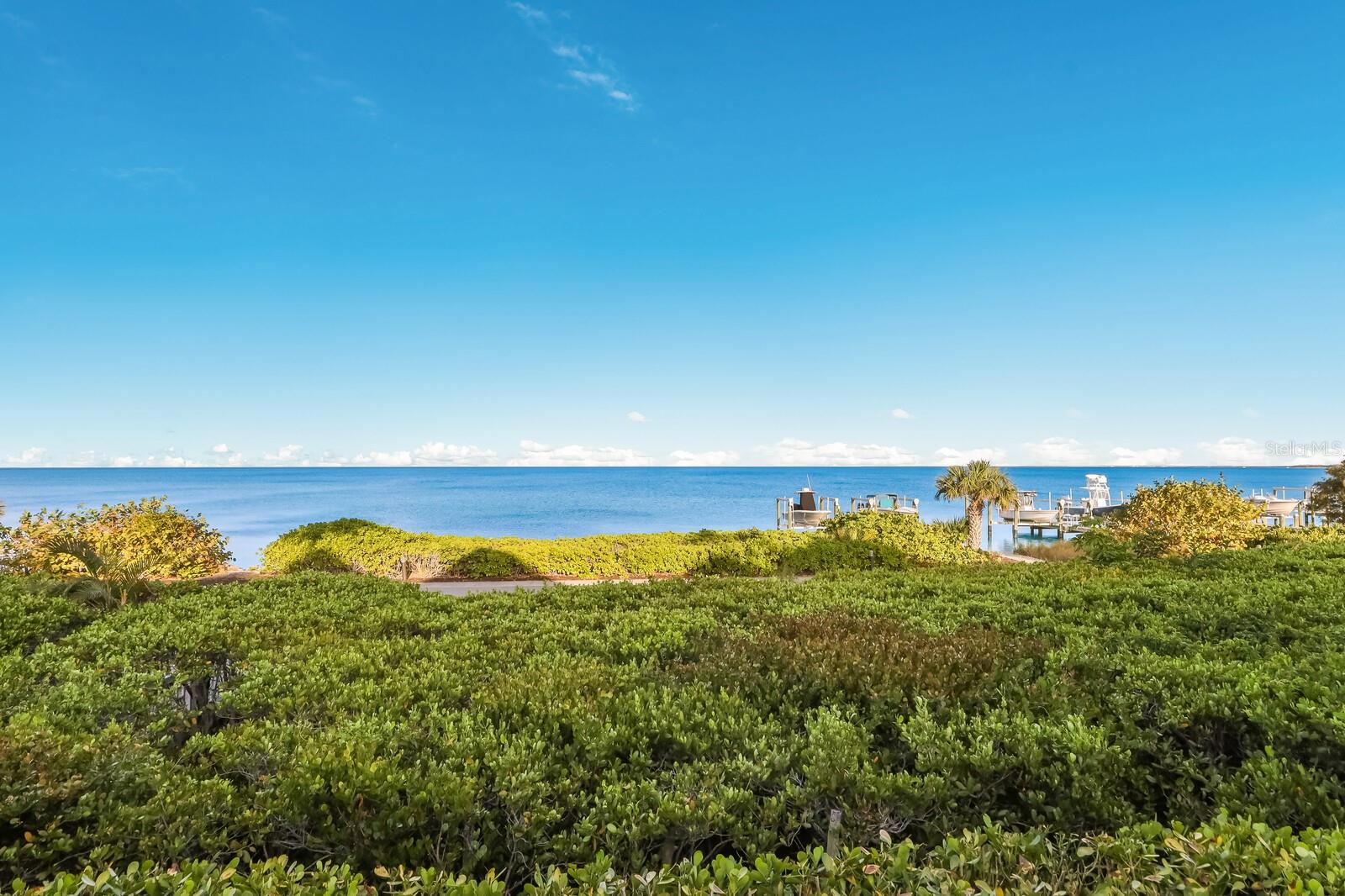 521 BUTTONWOOD BAY DR