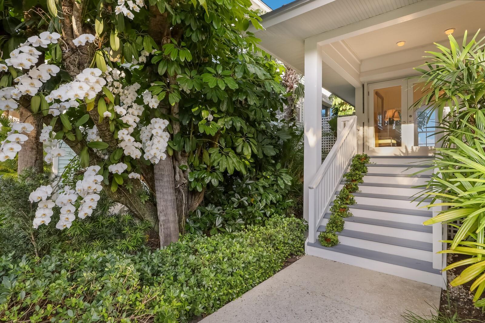 521 BUTTONWOOD BAY DR