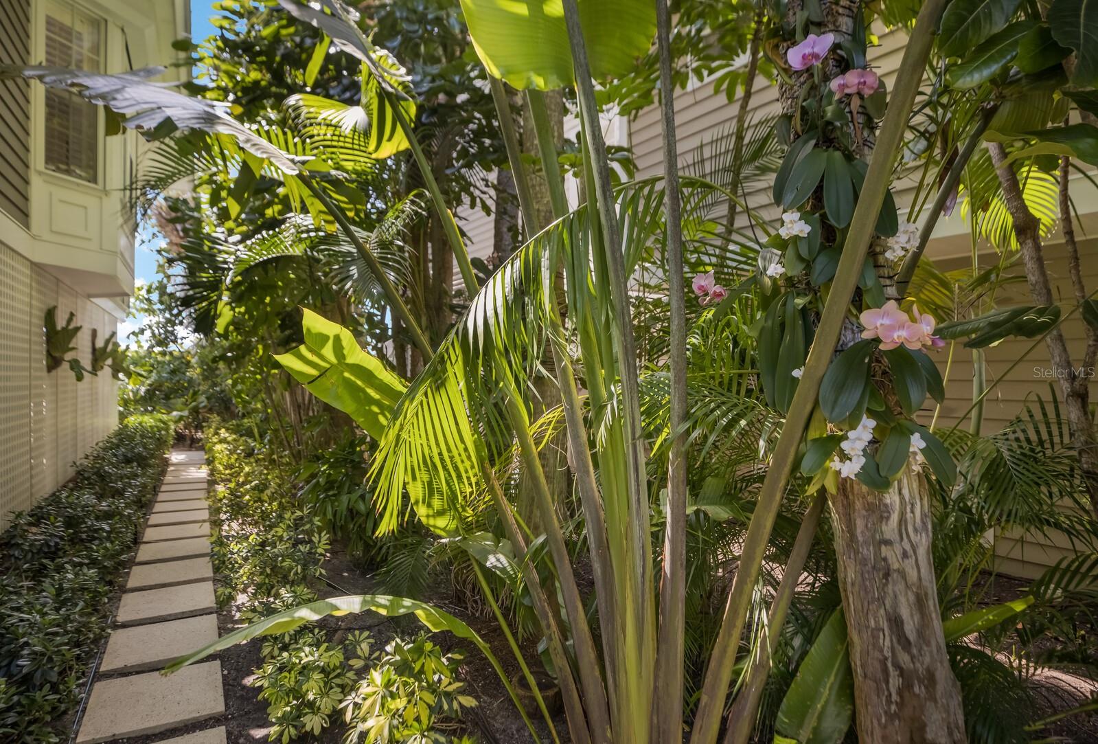 521 BUTTONWOOD BAY DR