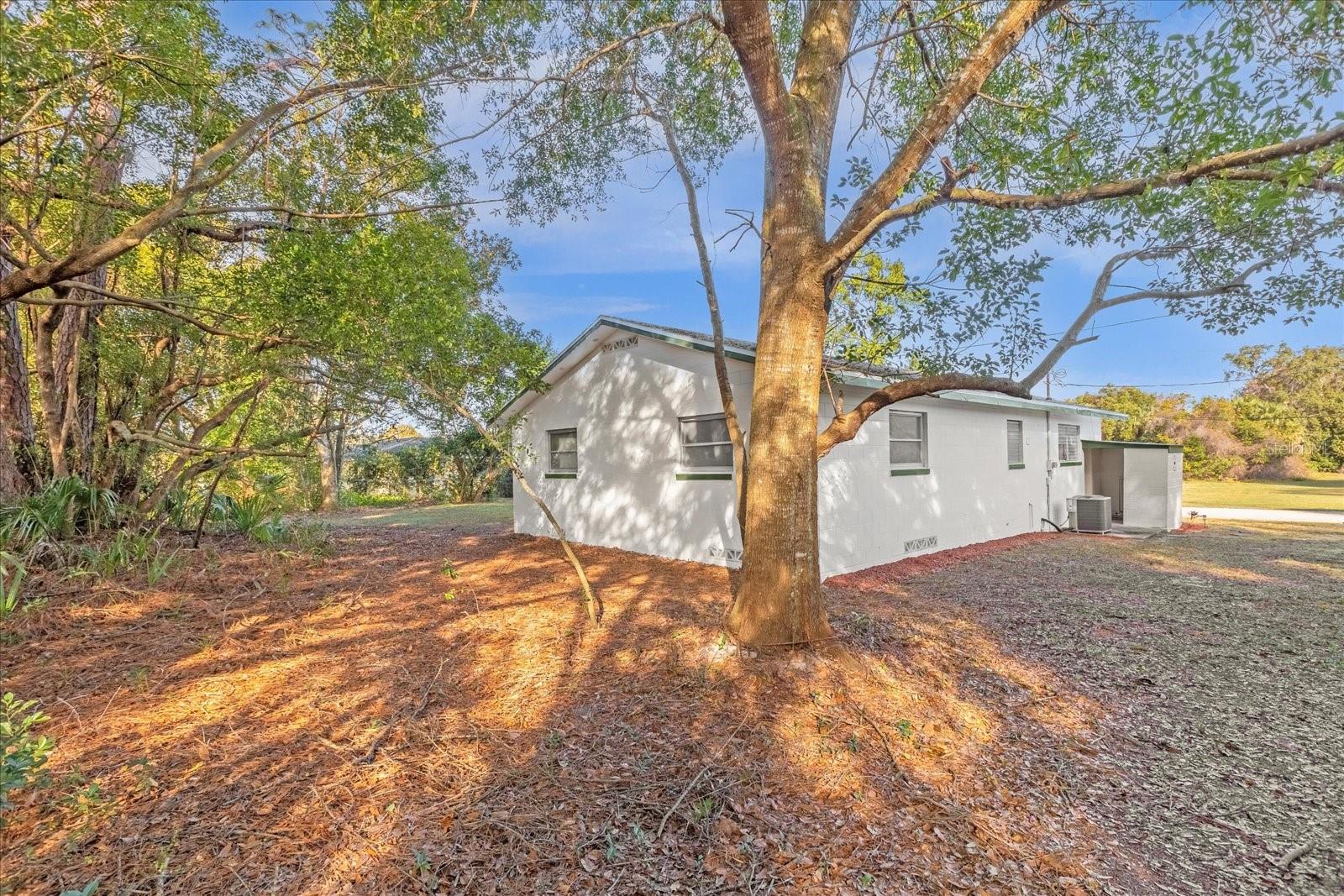 43 PARK LN