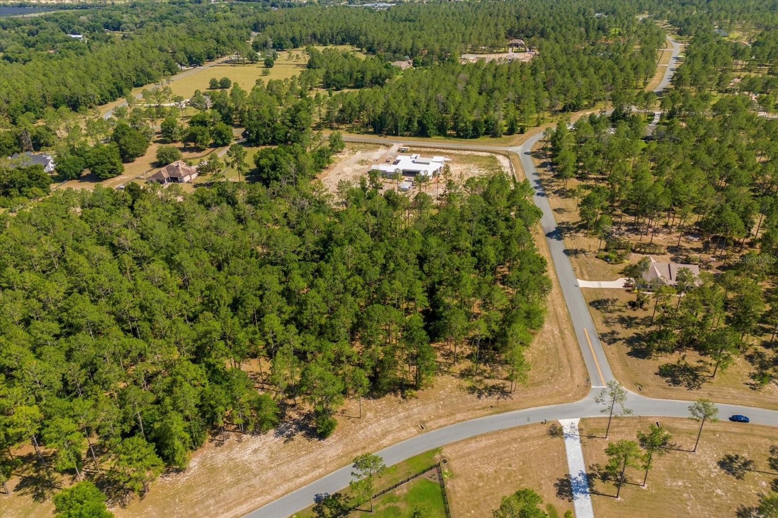 24102 GREENWOOD XING