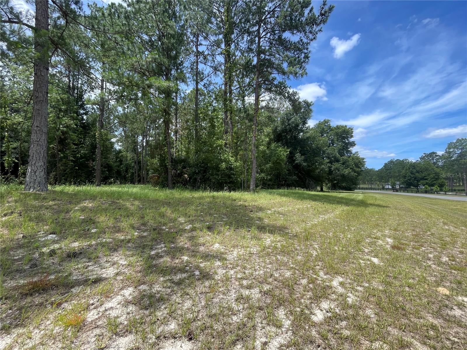 24120 GREENWOOD XING