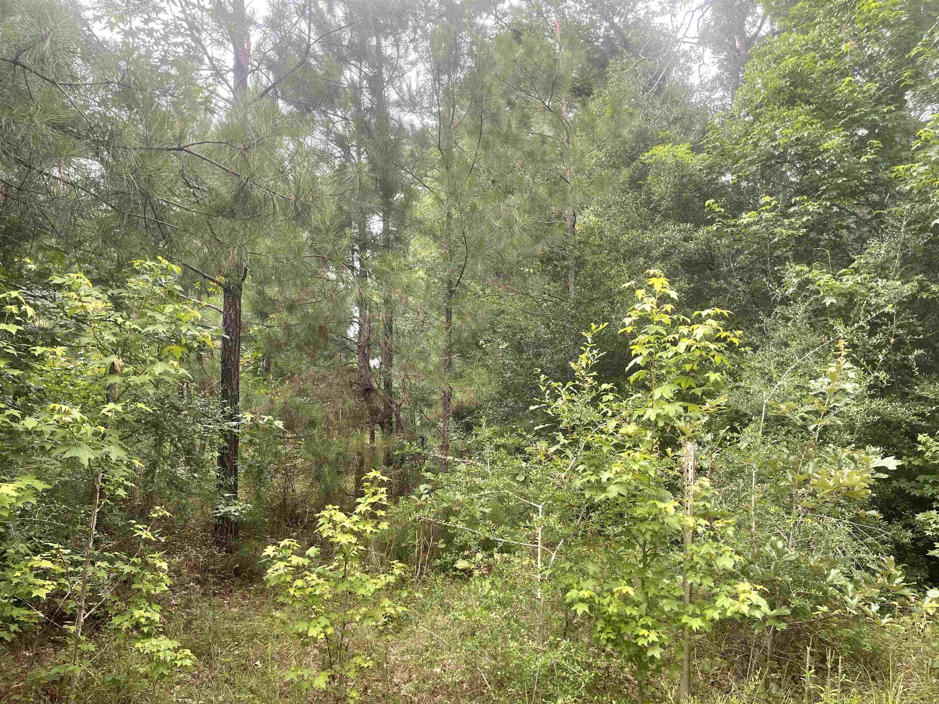 02 CR 4595