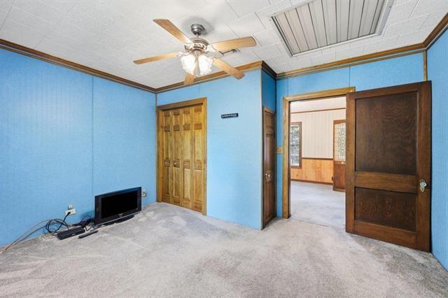 Blue-walled carpeted room with a ceiling fan and wooden doors.