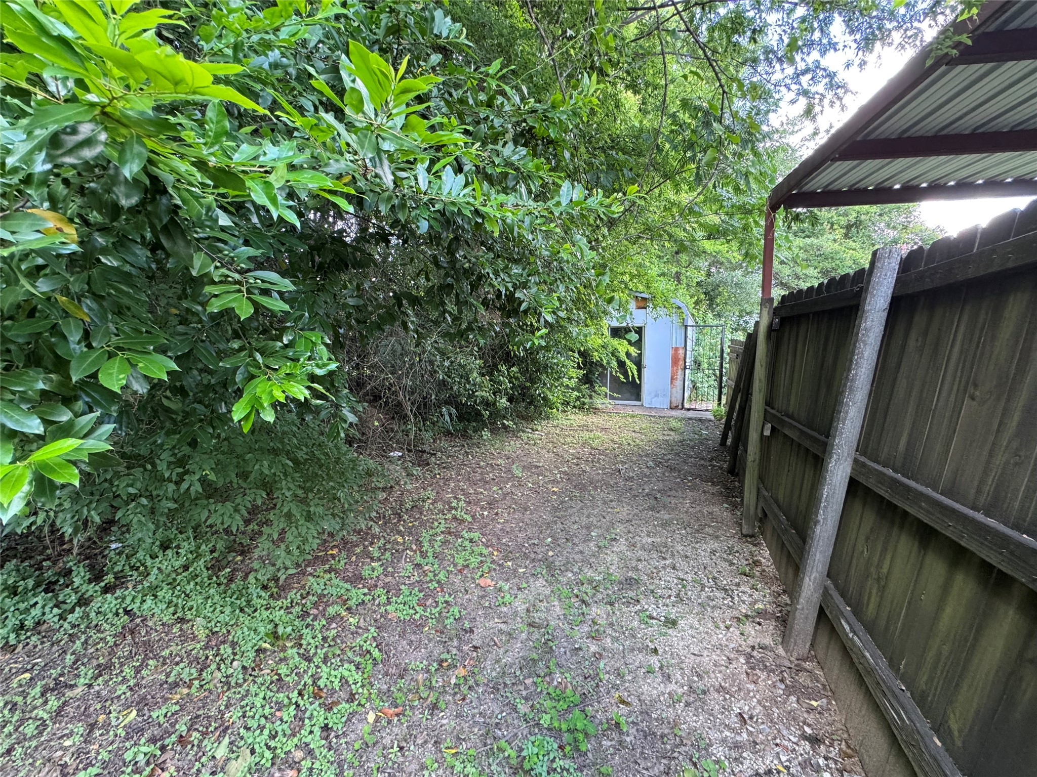 903 Pine Tree Road